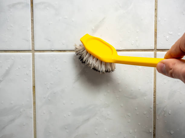 Spencerport, NY Mold Removal Company
