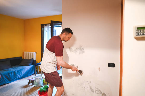 Office Mold Removal Services in Spencerport, NY
